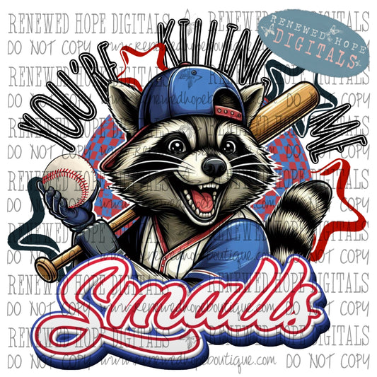 🦝 You're Killing Me Smalls ⚾️